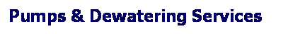 Text Box: Pumps & Dewatering Services&nbsp;&nbsp;&nbsp; 
